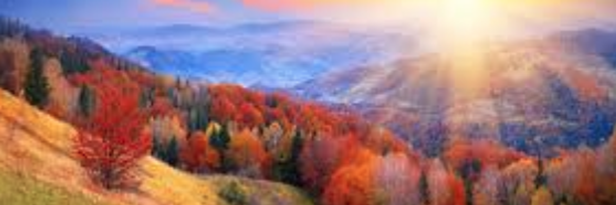 Let's take a deep breath and look at some positive news