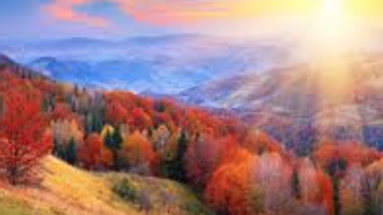 Let's take a deep breath and look at some positive news