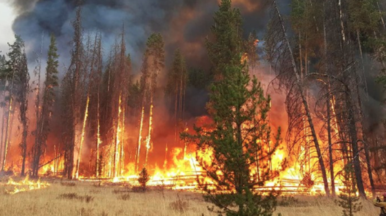 What would – or wouldn't – happen while our attention is diverted.