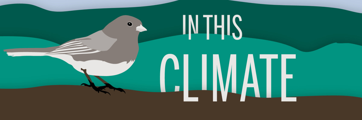 LISTEN: Kristina Marusic discusses the health effects of fracking on "In This Climate"