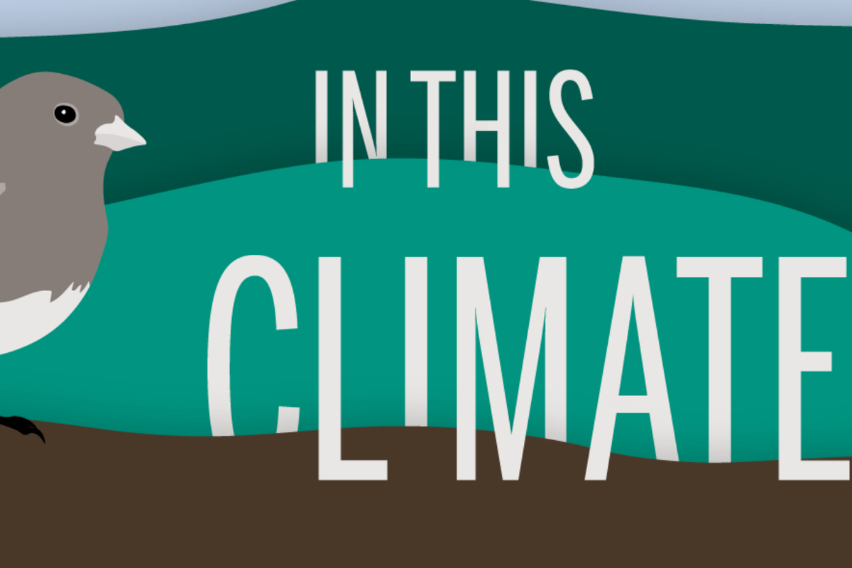 LISTEN: Kristina Marusic discusses the health effects of fracking on "In This Climate"