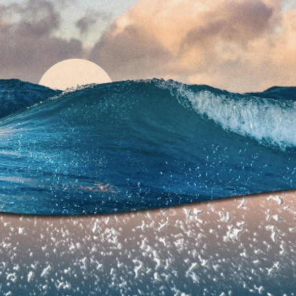 Debunking the biggest myths about our ocean plastic problem