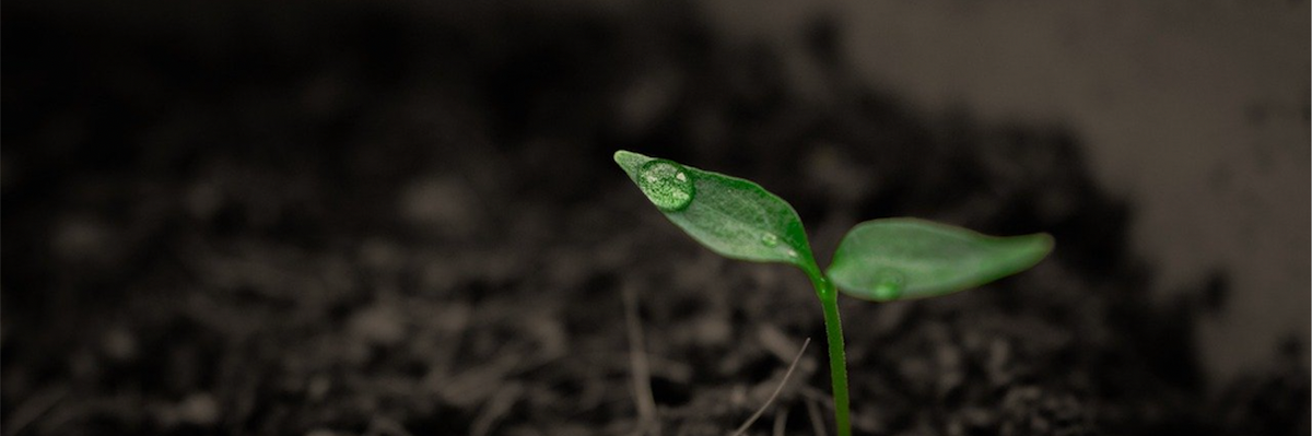 Peter Dykstra: The good news that gets buried by the bad