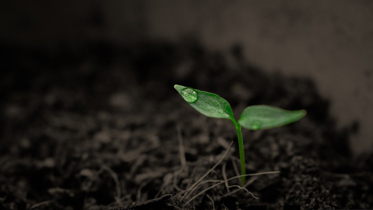 Peter Dykstra: The good news that gets buried by the bad