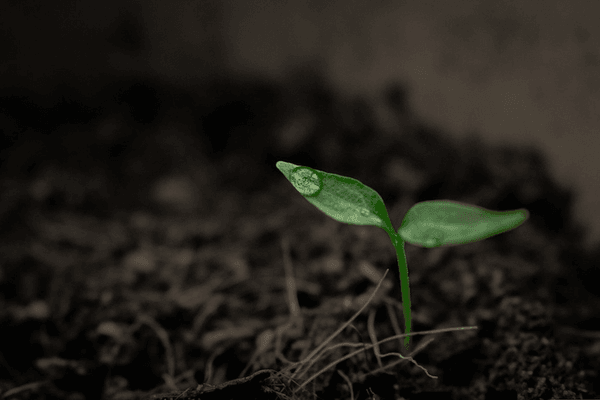 Peter Dykstra: The good news that gets buried by the bad