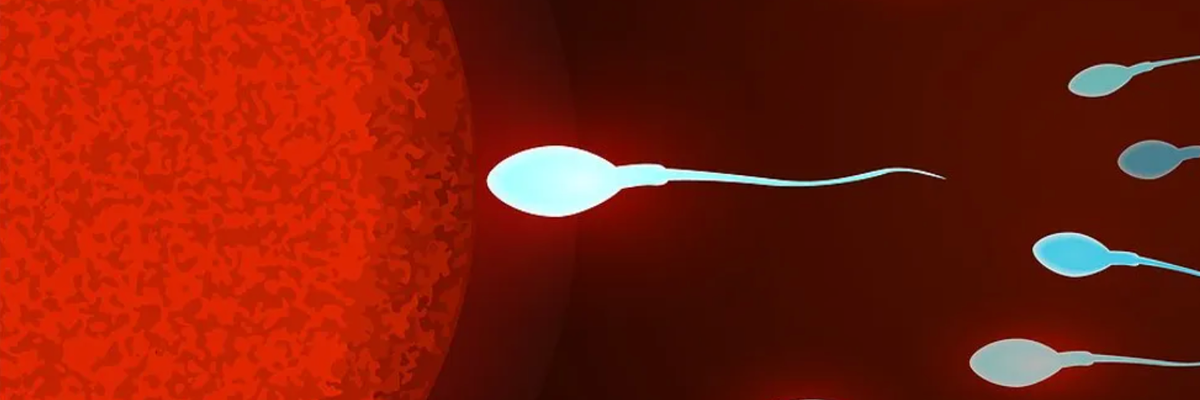 Cell phone radiation can harm sperm and testes in animals