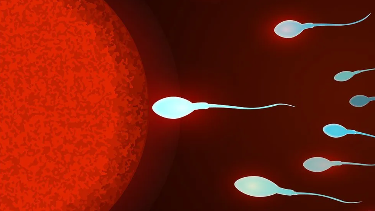 Cell phone radiation can harm sperm and testes in animals