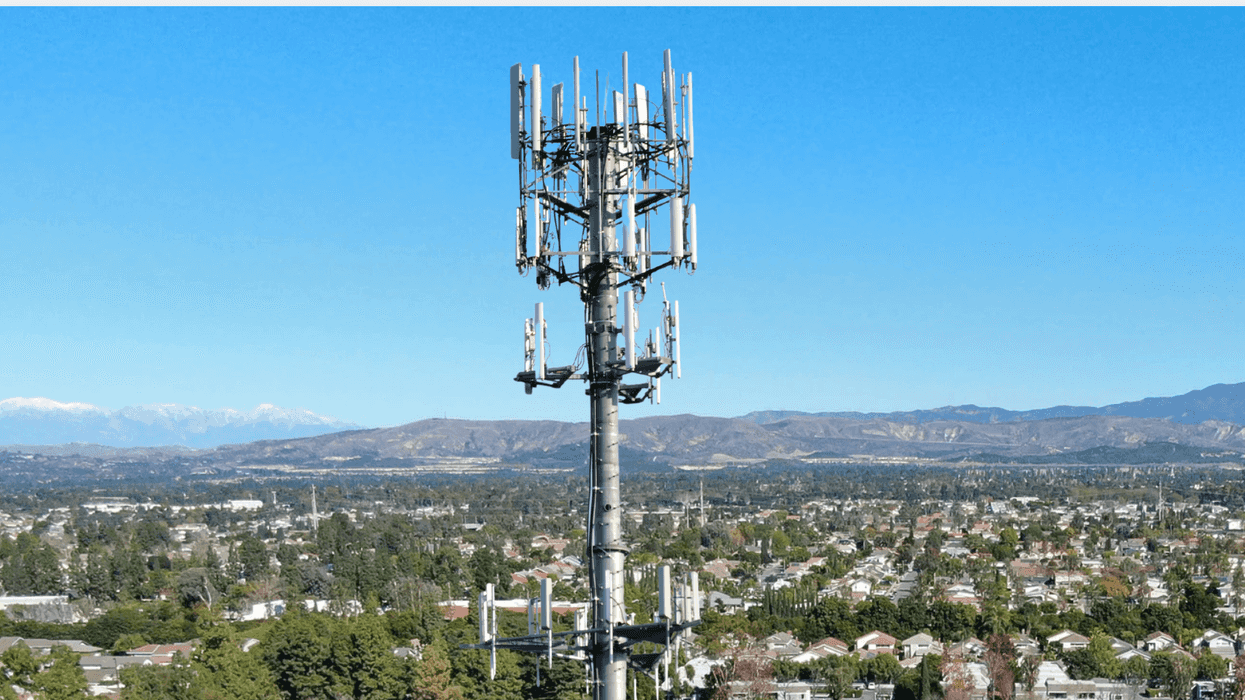 Study links cell tower and cell phone radiation to changes in blood cells tied to immune health