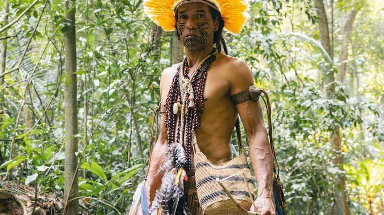 Indigenous Amazonian male in traditional garb