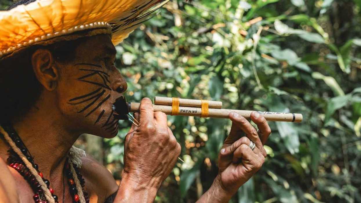 Indigenous Amazonian person using a blow-dart gun