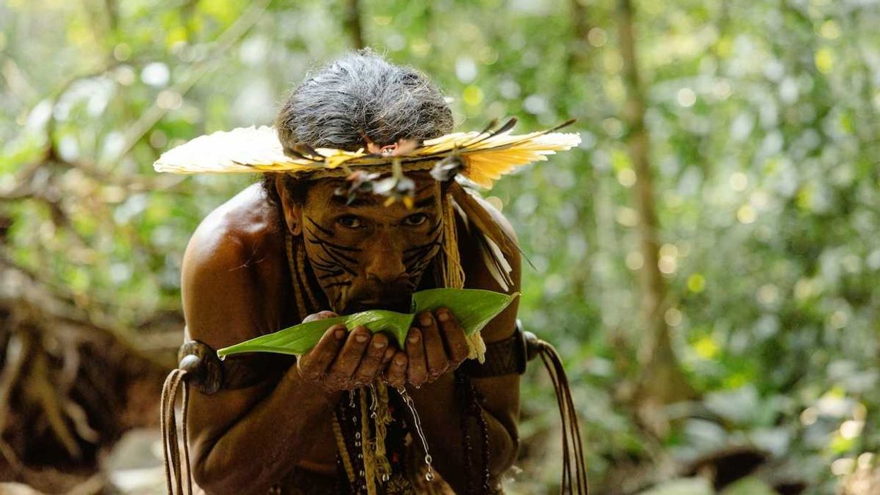 Indigenous Amazonian tribesman sipping water from a leaf