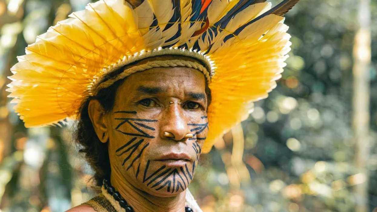 Indigenous Amazonian tribesman wearing yellow feathered headress