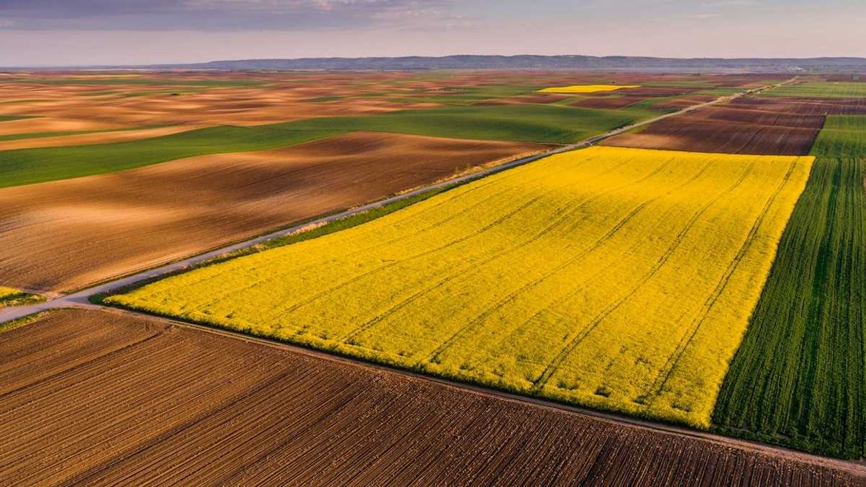 Iowa farmland multicolored crops and fallow land