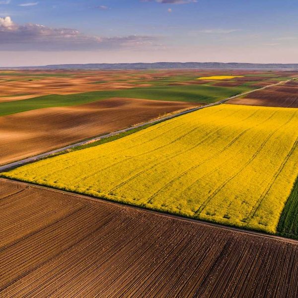 Iowa farmland multicolored crops and fallow land