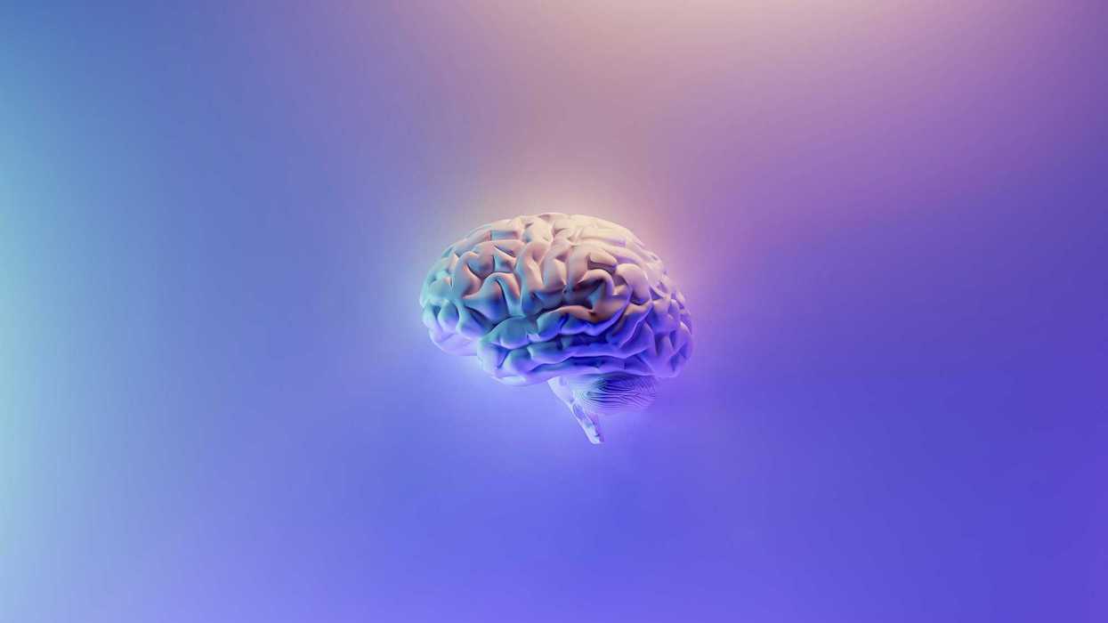 iridescent brain render on blue purple background.
