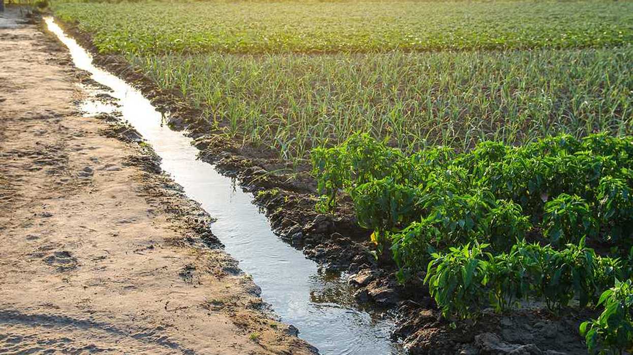 Irrigation canal running past green farm fields