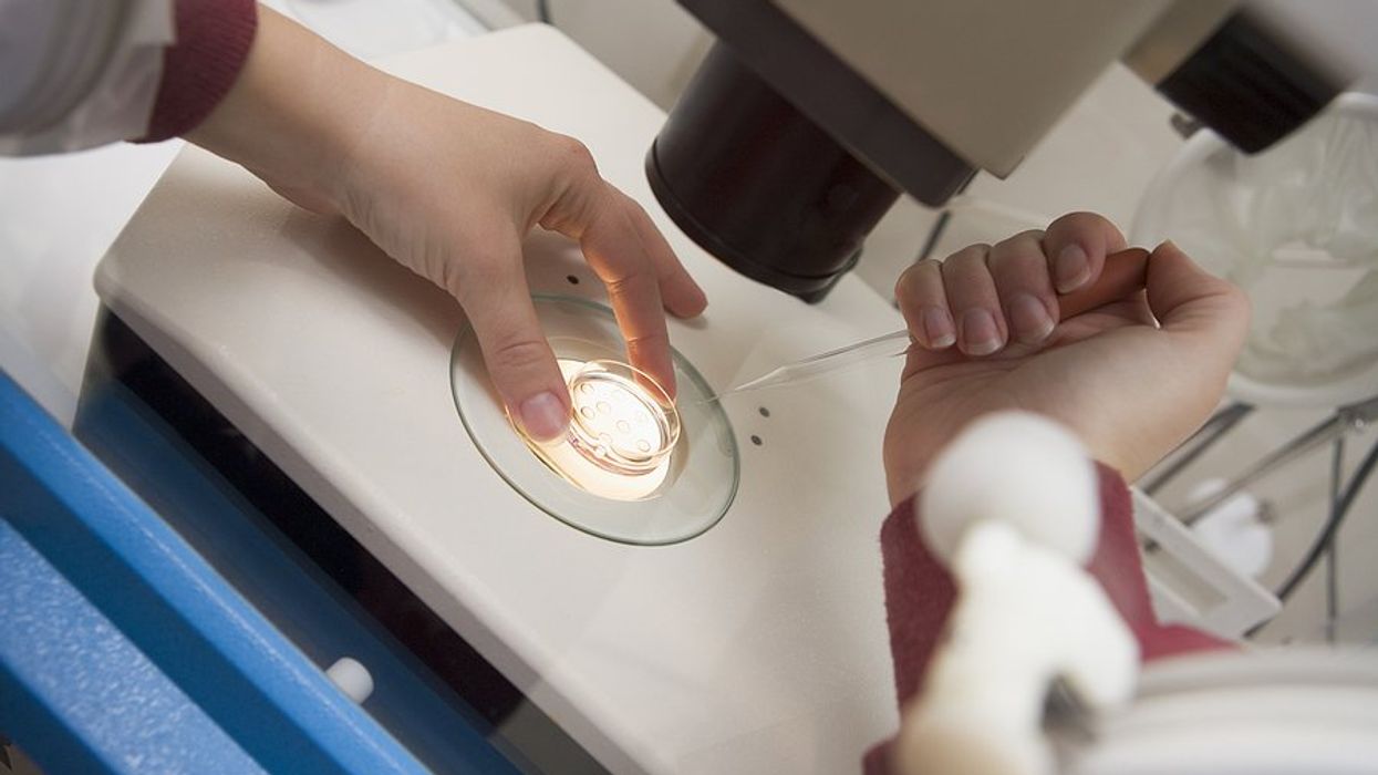 IVF chemical exposure and infertility