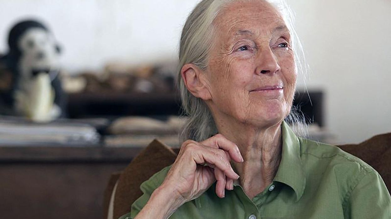 Jane Goodall call to action