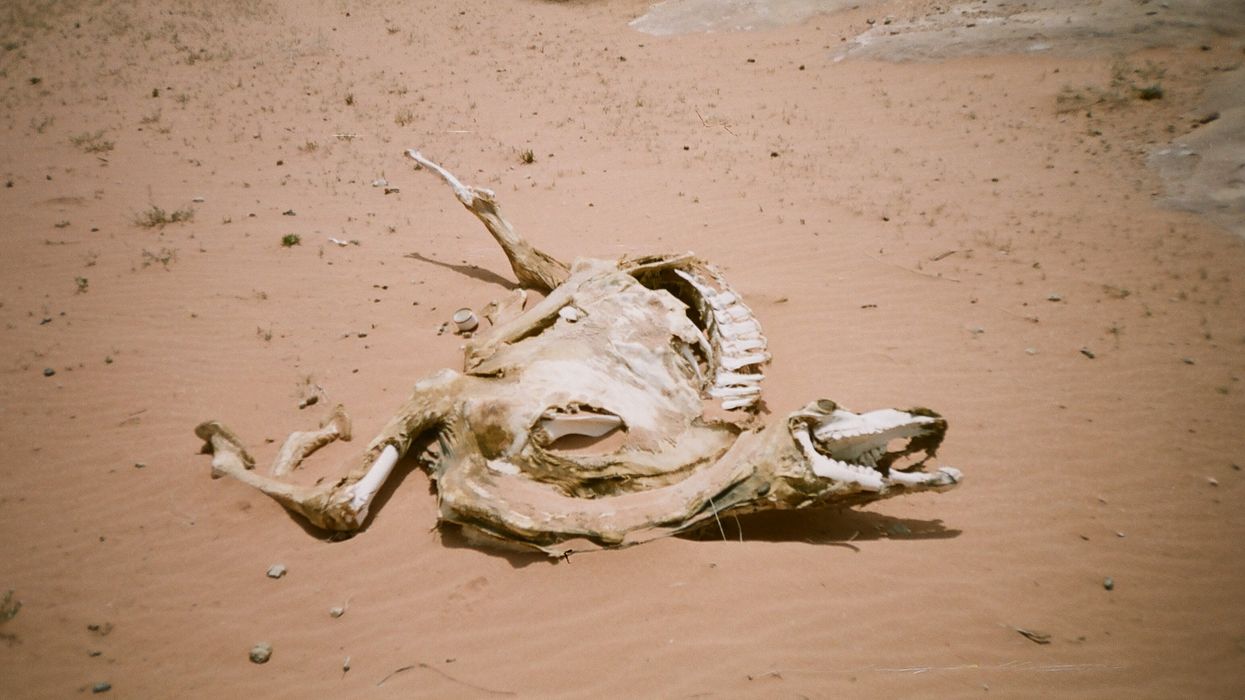 kenya drought climate impacts