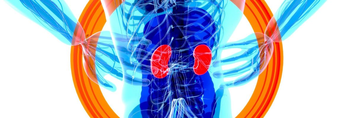 kidney disease plastics