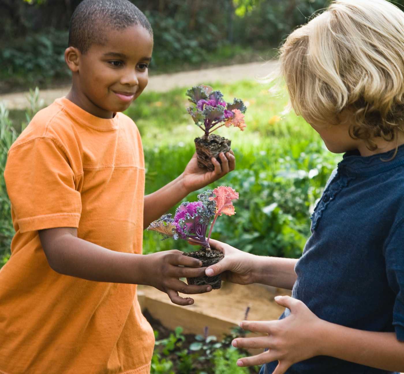 kids gardening