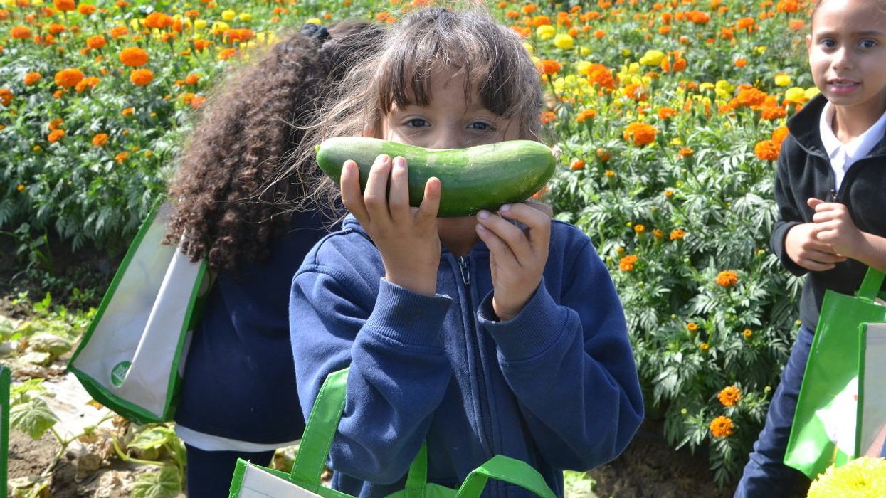 Kids organic vegetables