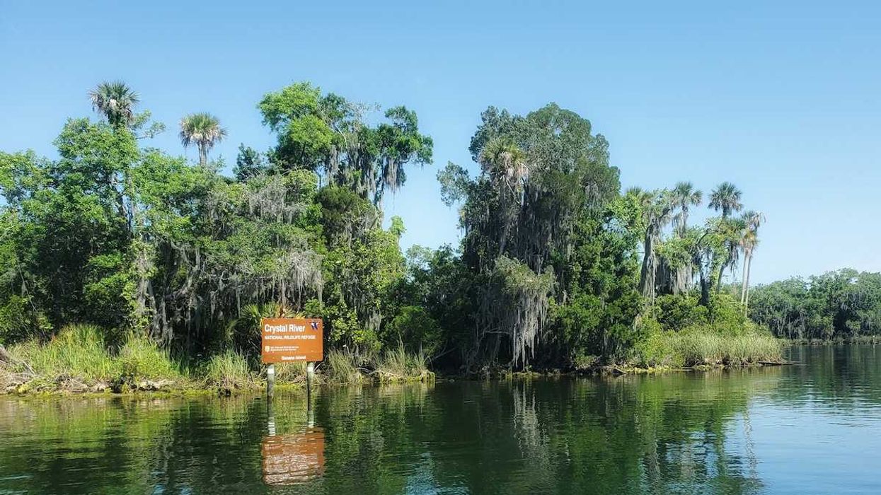 Opinion: Lobbyists work for and against Florida governments dealing with PFAS pollution