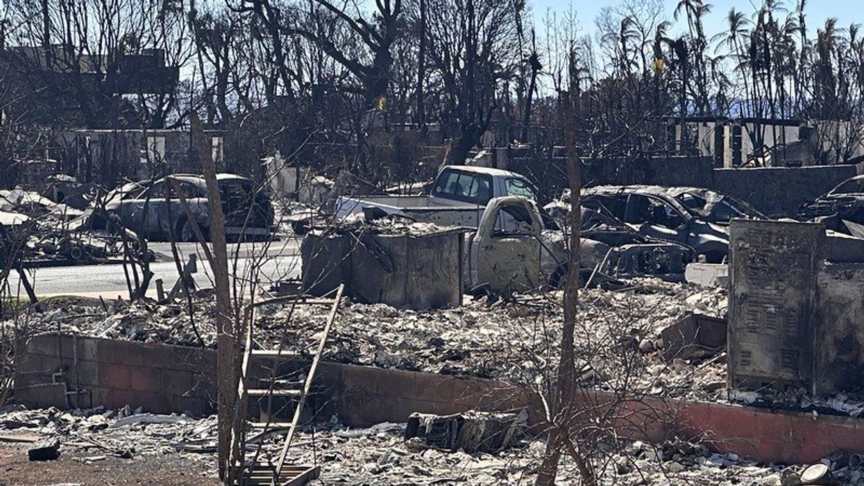 Lahaina Maui toxic debris