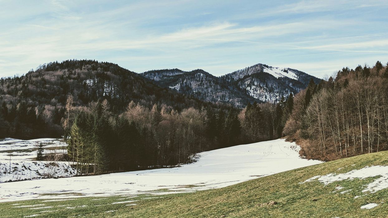 landscape photography of trees and mountains with melting snow in the foreground