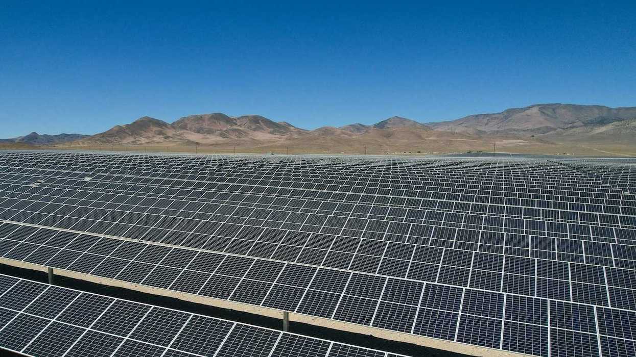 Large expanse of solar panels stretching out to distant hills.