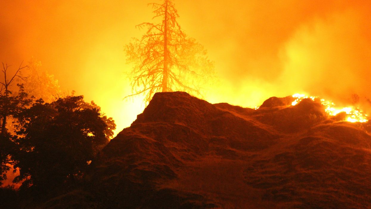 Large wildfire burning trees and brush at night