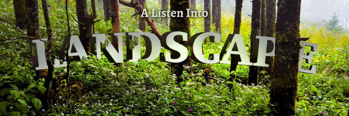 Listen into Landscape