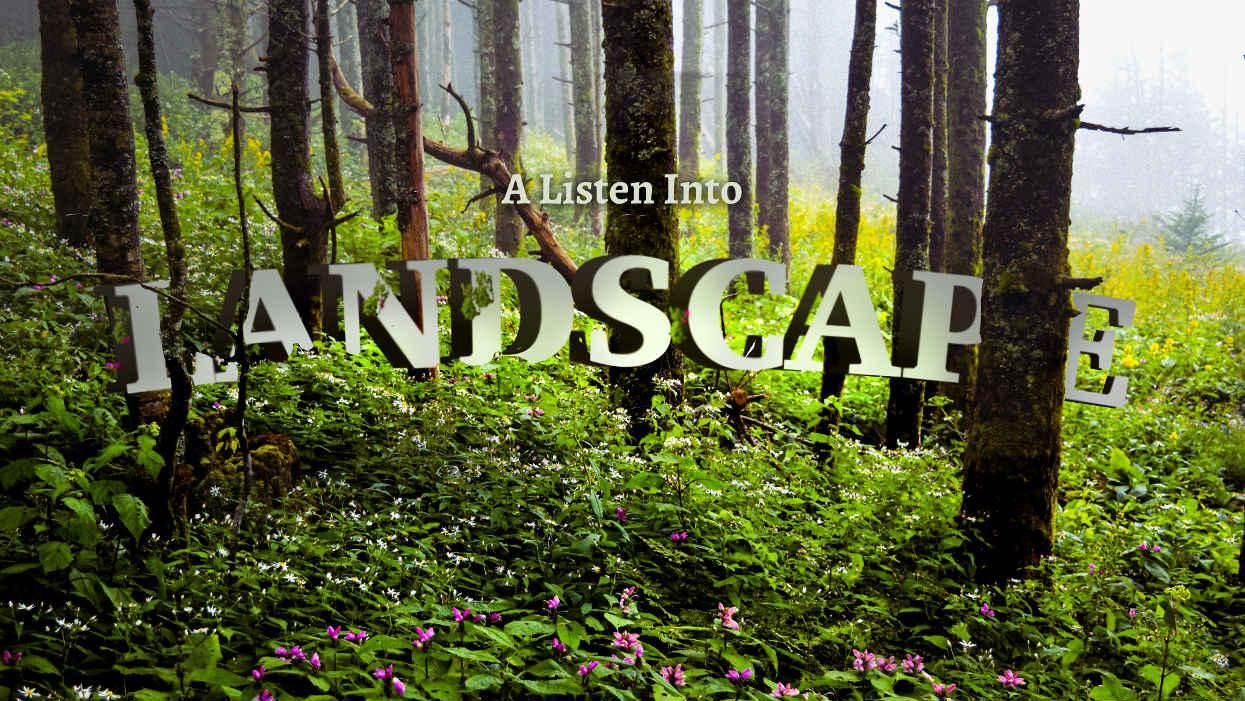 Listen into Landscape