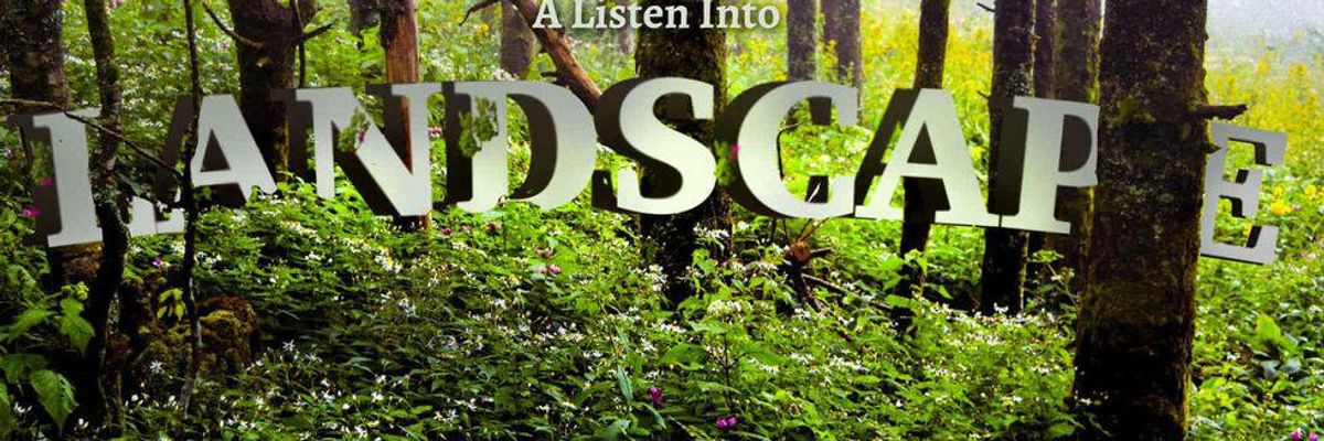 Listen into landscape