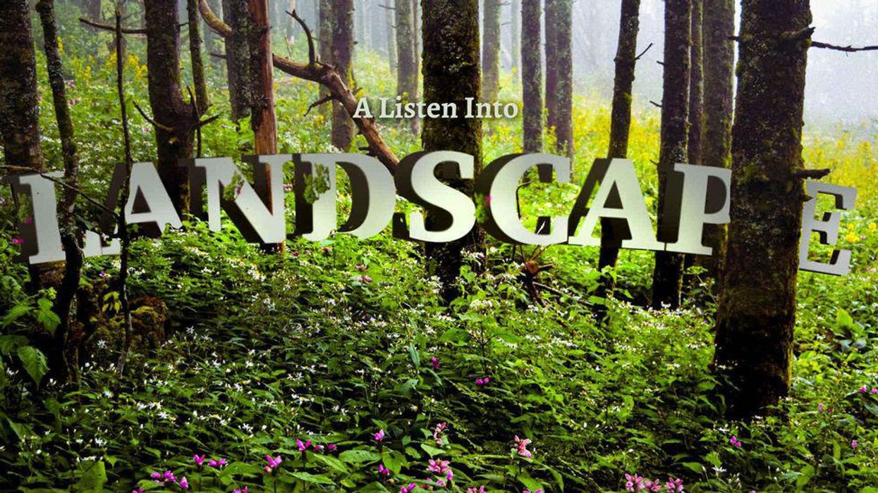 Listen into landscape
