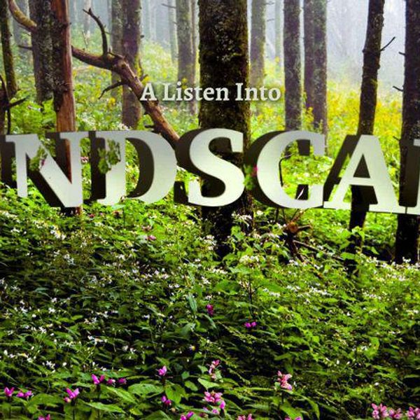 Listen into Landscape