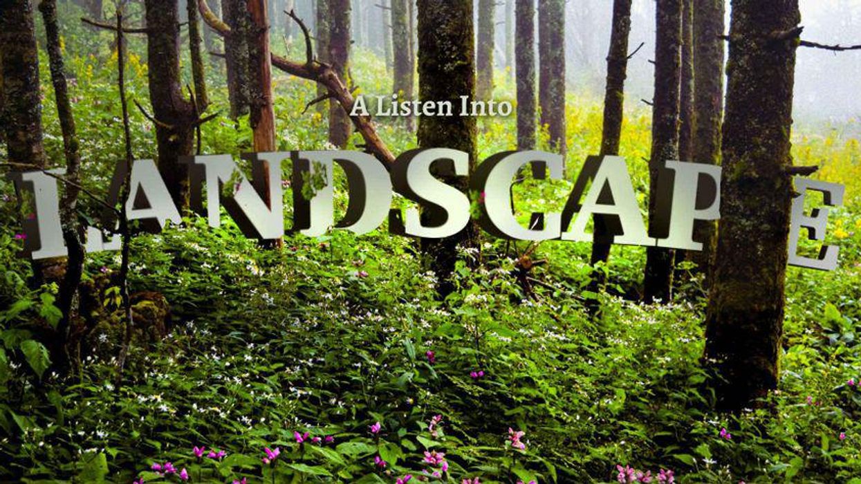 Listen into Landscape