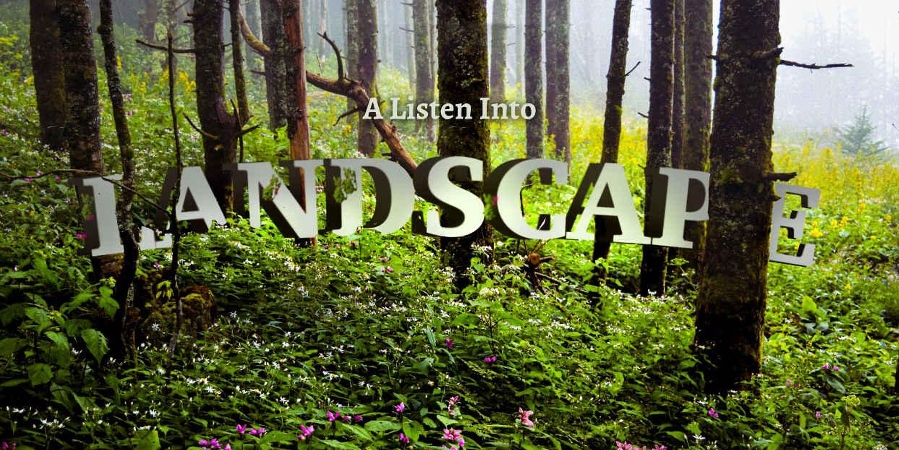 Listen to the Landscape