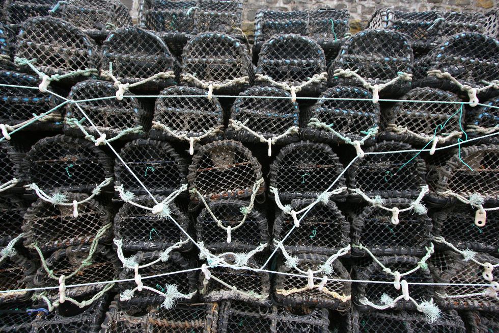 Lobster pots