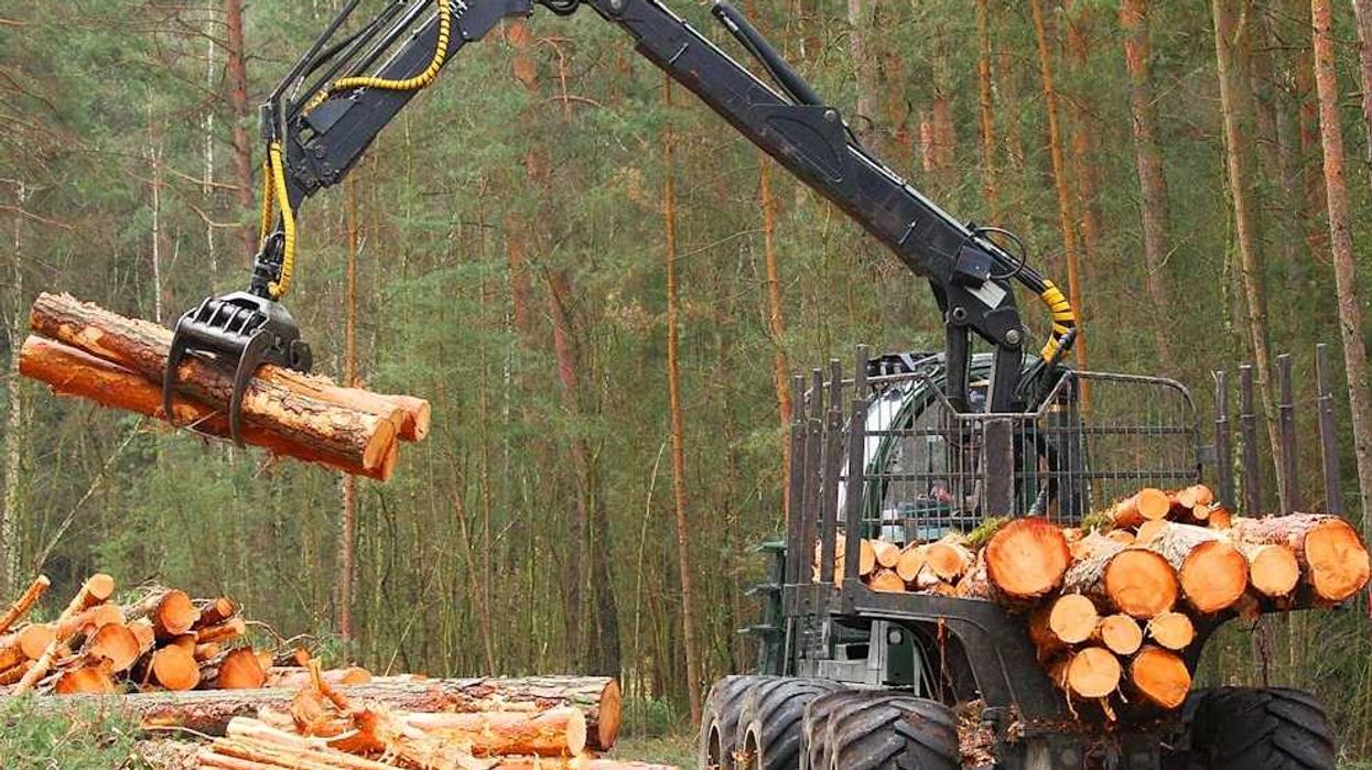 Log skidder/truck yarding logs