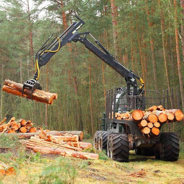 Log skidder/truck yarding logs