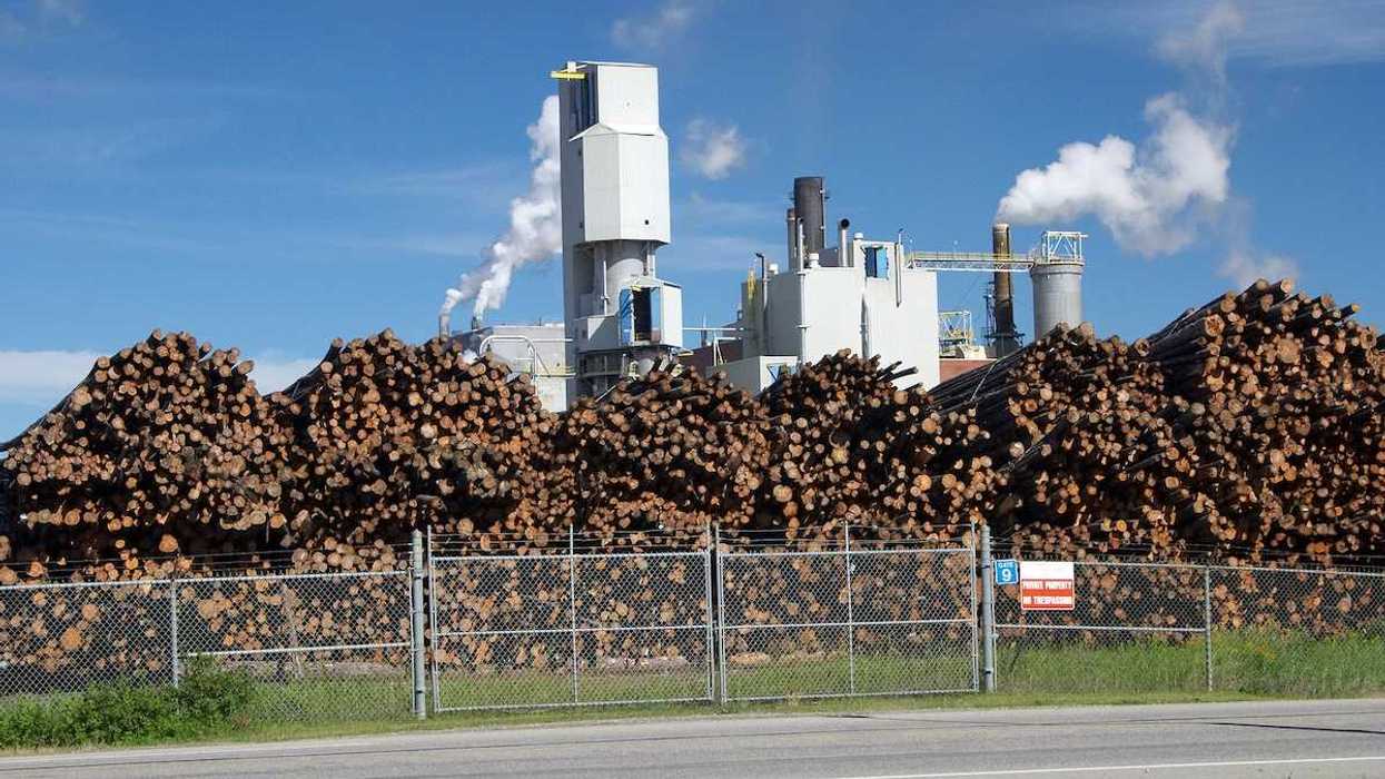 Logs stored outside a pulp and paper mill