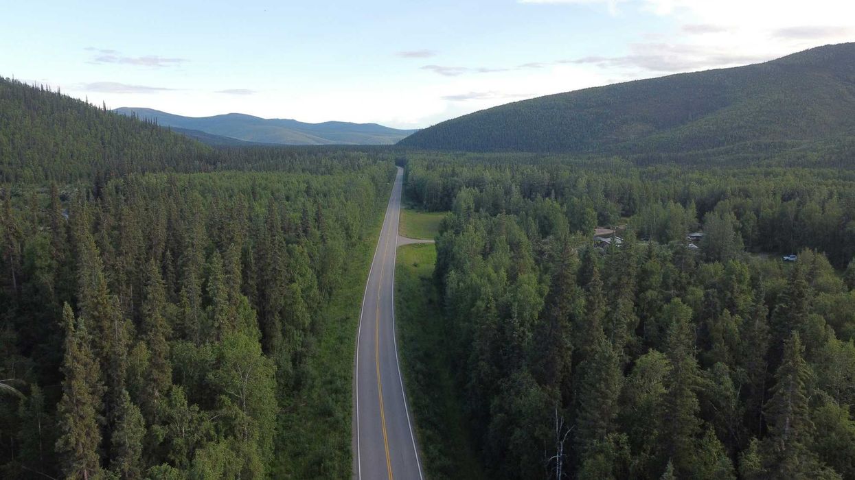 Long highway through a dense forest landscape