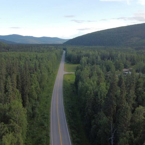 Long highway through a dense forest landscape