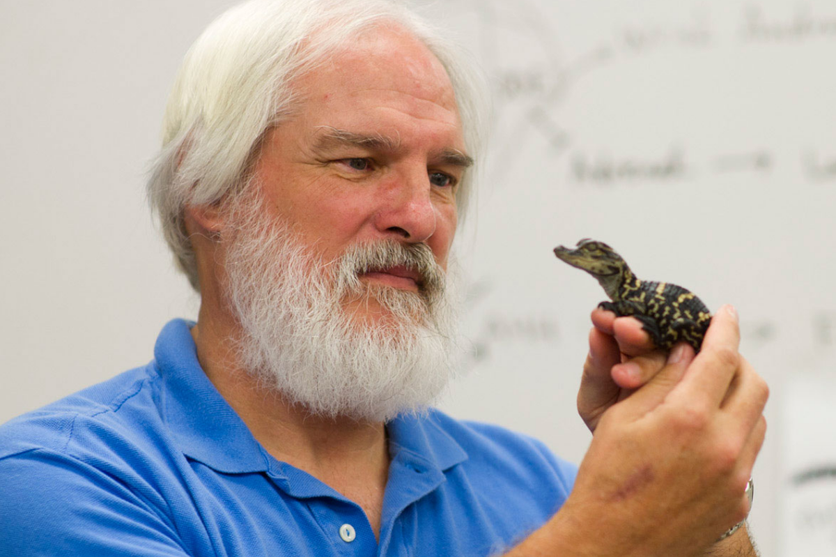 Lou Guillette Jr. Memorial Symposium