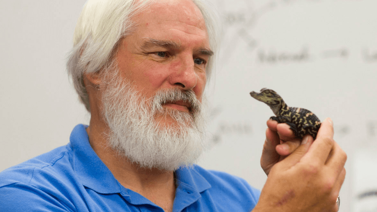 Lou Guillette Jr. Memorial Symposium