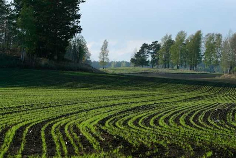 Climate change is heating up Georgia, farmers find ways to adapt