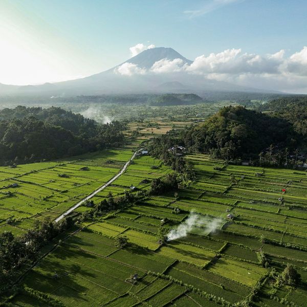 lush green fields beneath Mountain in Indonesia