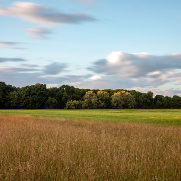maine farmland pfas contamination