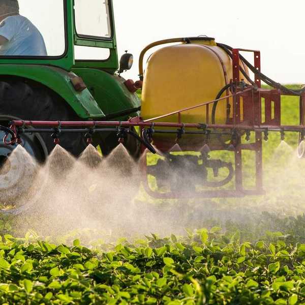 Man driving green (John Deere?) tractor while spraying crops - likely with pesticides.
